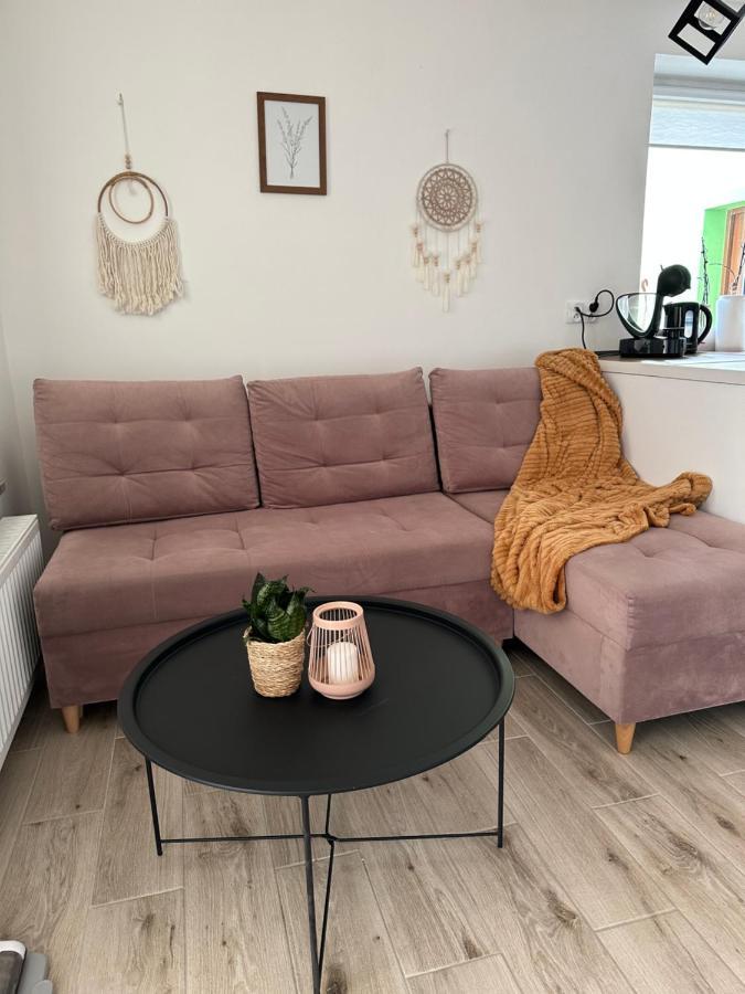 Mr. Sowa Sokolec Apartment Лудвиковице Клодзкие Екстериор снимка