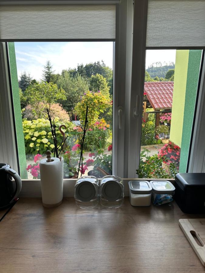 Mr. Sowa Sokolec Apartment Лудвиковице Клодзкие Екстериор снимка