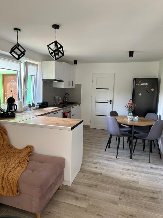 Mr. Sowa Sokolec Apartment Лудвиковице Клодзкие Екстериор снимка