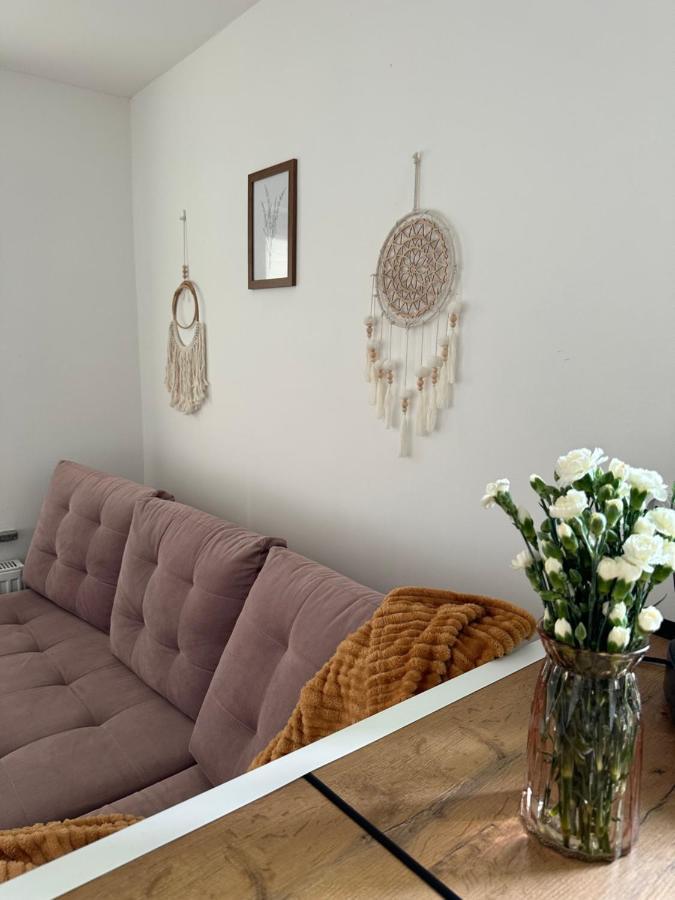 Mr. Sowa Sokolec Apartment Лудвиковице Клодзкие Екстериор снимка