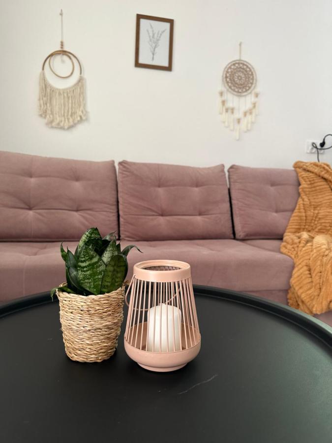Mr. Sowa Sokolec Apartment Лудвиковице Клодзкие Екстериор снимка