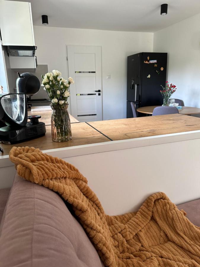 Mr. Sowa Sokolec Apartment Лудвиковице Клодзкие Екстериор снимка