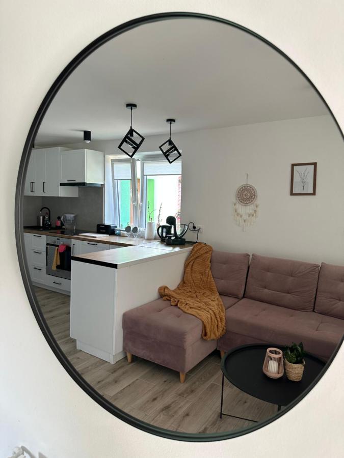 Mr. Sowa Sokolec Apartment Лудвиковице Клодзкие Екстериор снимка