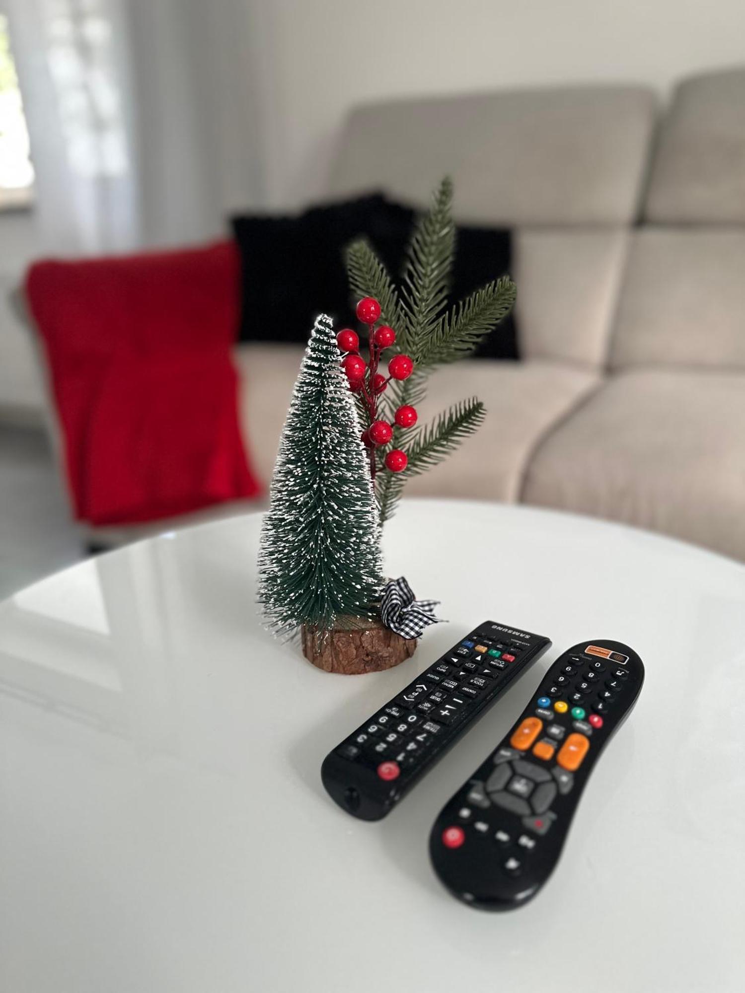 Mr. Sowa Sokolec Apartment Лудвиковице Клодзкие Екстериор снимка
