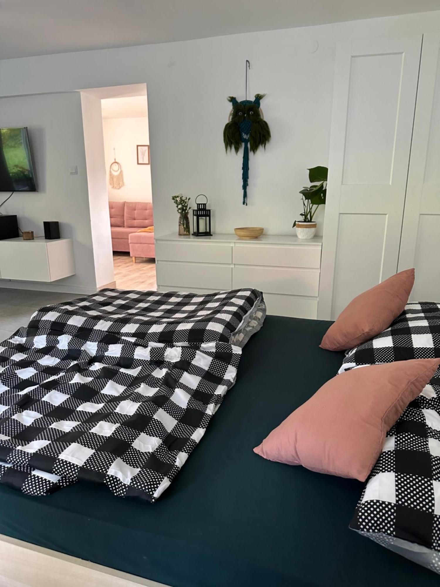 Mr. Sowa Sokolec Apartment Лудвиковице Клодзкие Екстериор снимка