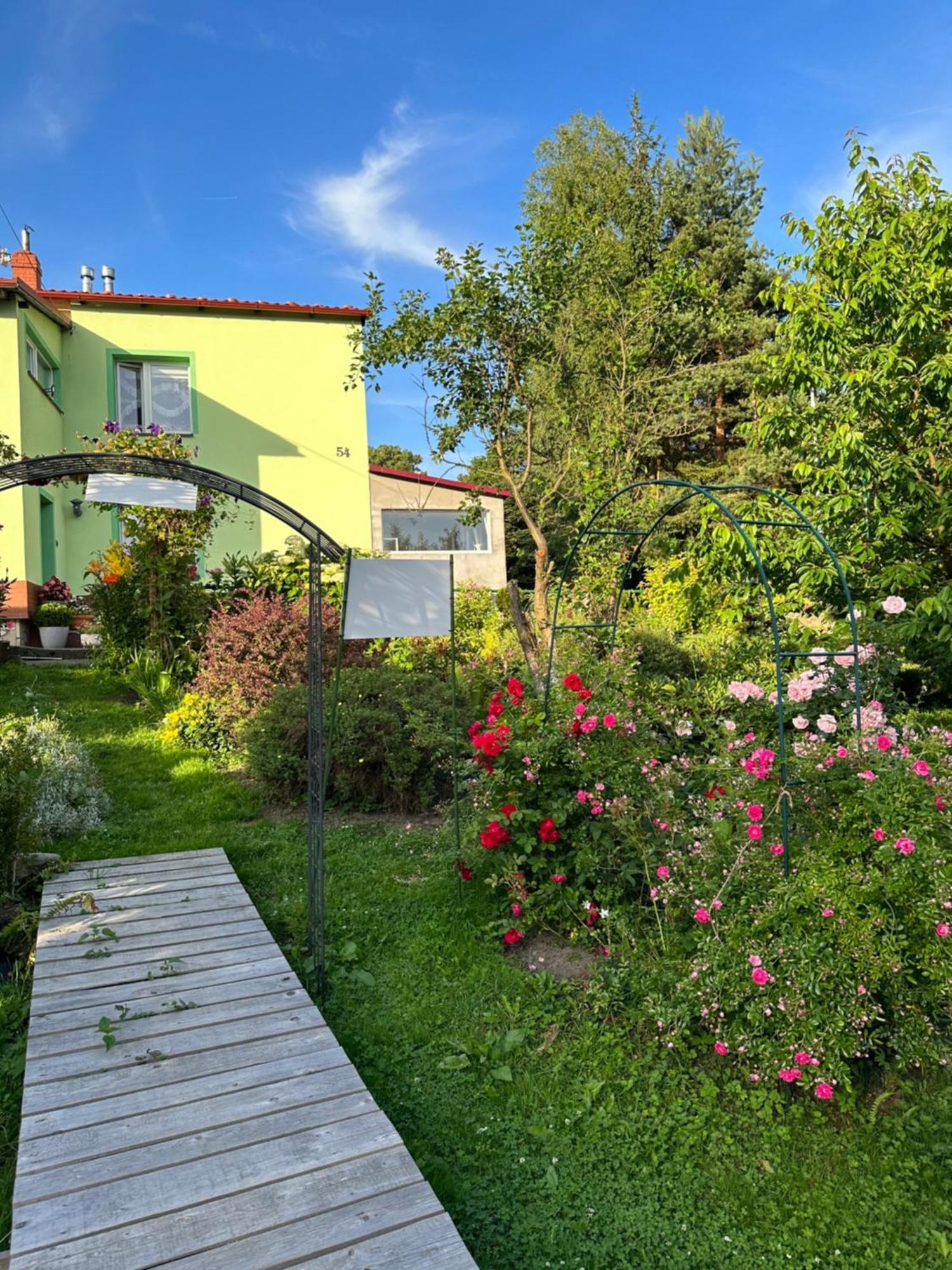 Mr. Sowa Sokolec Apartment Лудвиковице Клодзкие Екстериор снимка