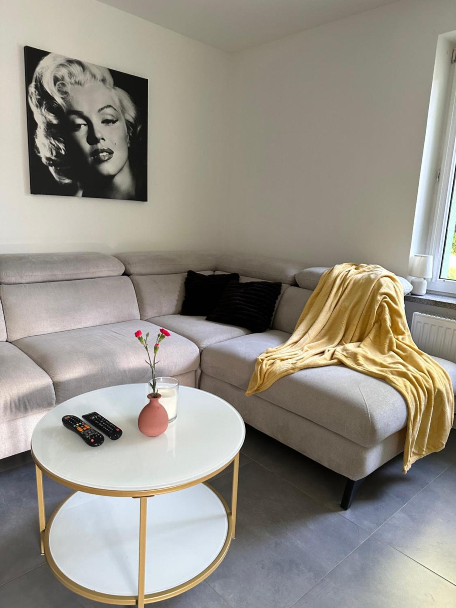 Mr. Sowa Sokolec Apartment Лудвиковице Клодзкие Екстериор снимка