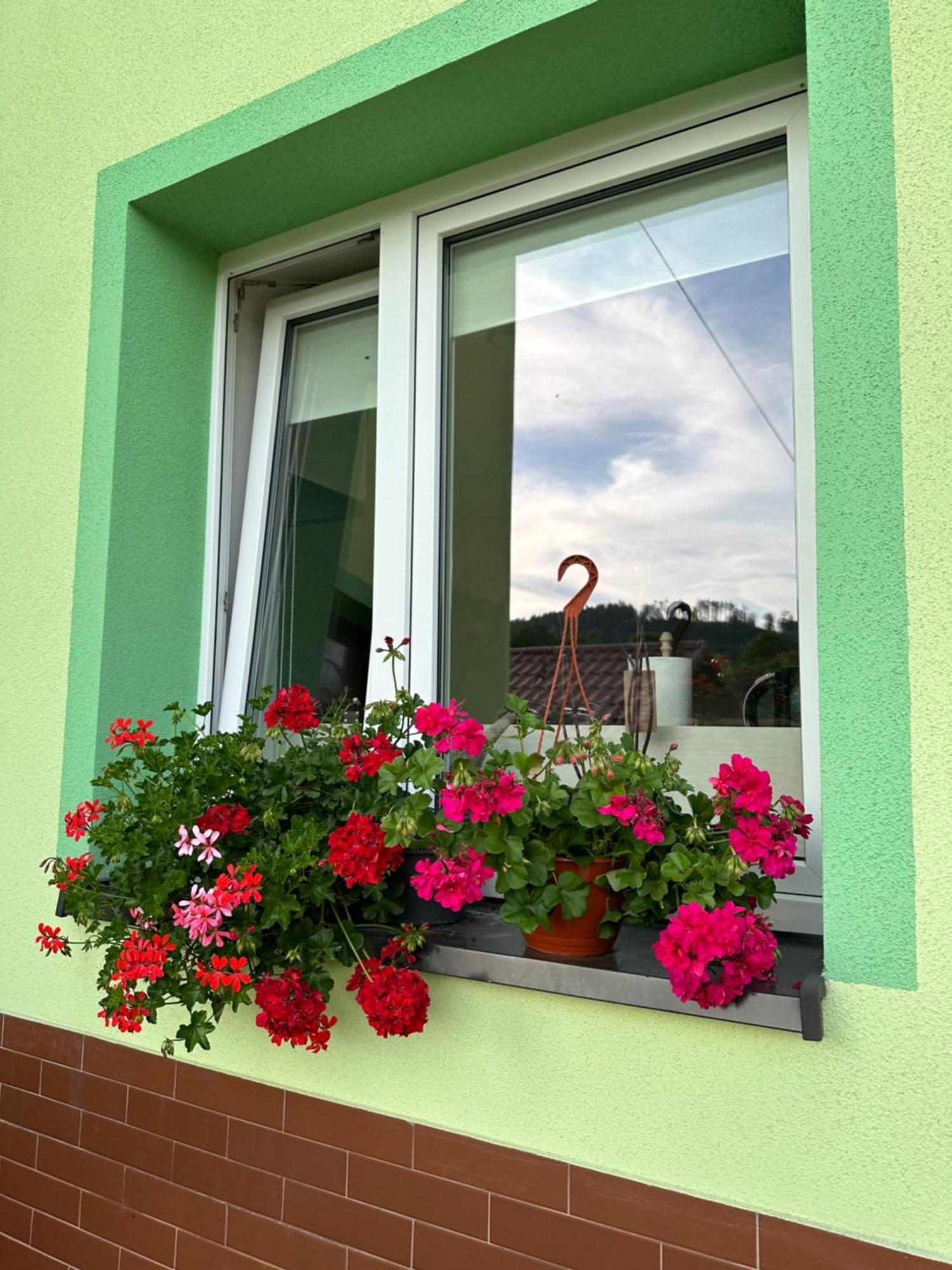 Mr. Sowa Sokolec Apartment Лудвиковице Клодзкие Екстериор снимка